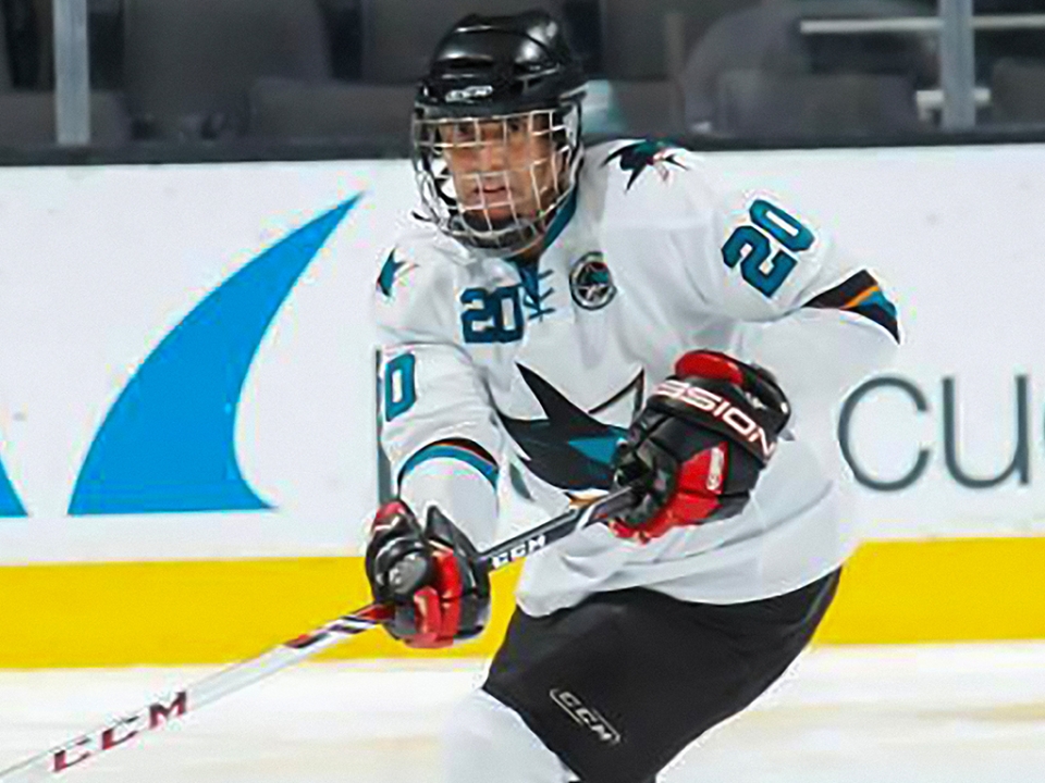 John Eadie playing hockey in a San Jose Sharks uniform