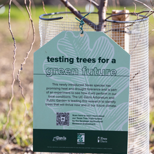 A tag hanging off a tree with a heading "testing trees for a green future".
